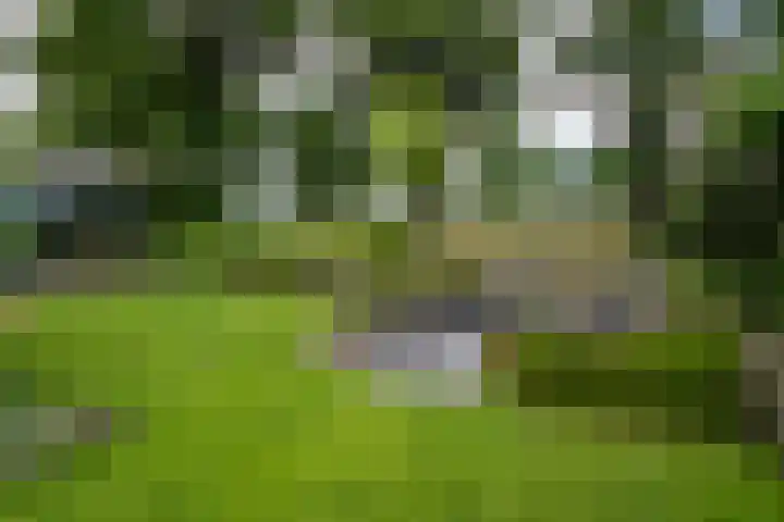 Veldmanserve 35 Hellendoorn thumbnail 35