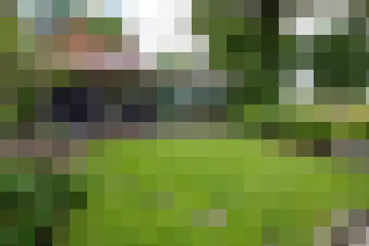 Veldmanserve 35 Hellendoorn thumbnail 36