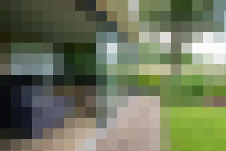 Veldmanserve 35 Hellendoorn thumbnail 37