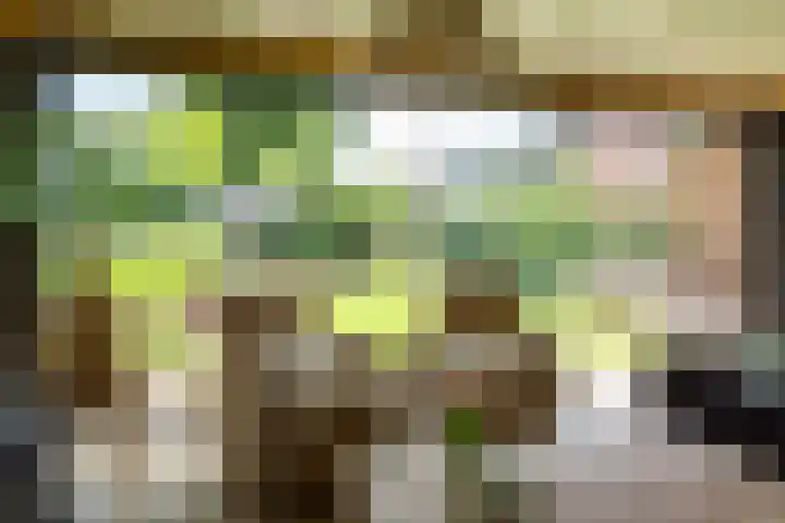Veldmanserve 35 Hellendoorn thumbnail 38