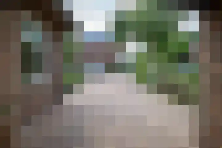 Veldmanserve 35 Hellendoorn thumbnail 44