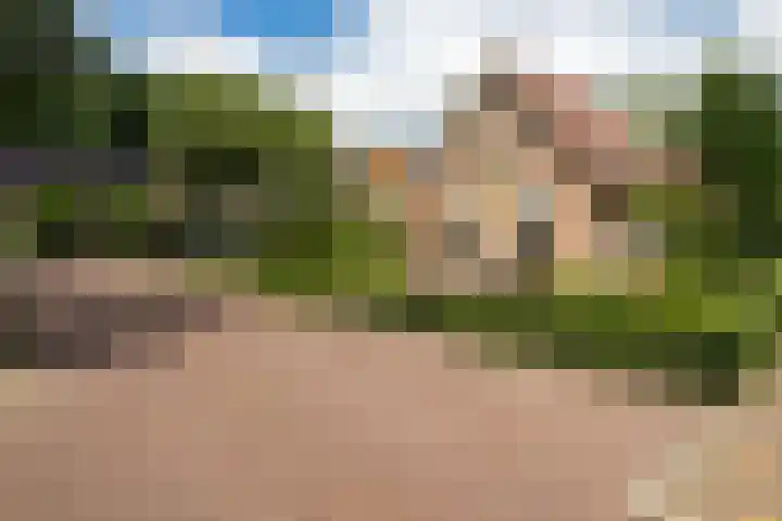 Veldmanserve 35 Hellendoorn thumbnail 45