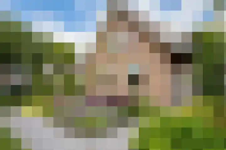 Veldmanserve 35 Hellendoorn thumbnail 46