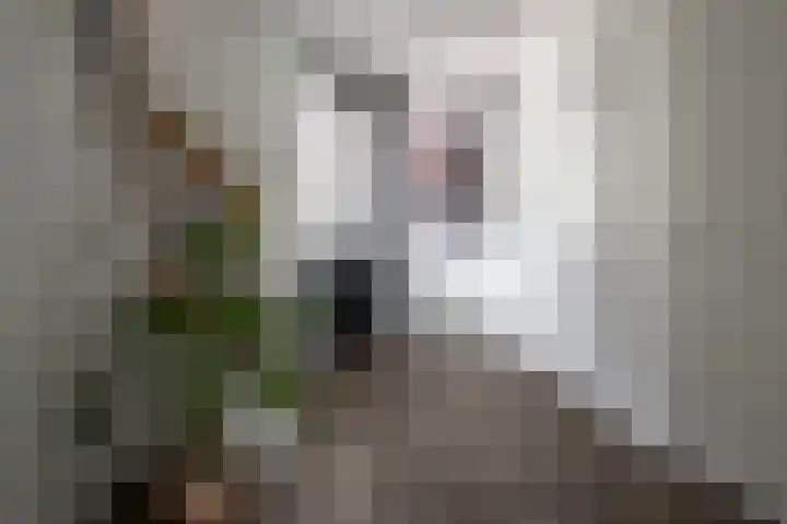 Veldmanserve 35 Hellendoorn thumbnail 5