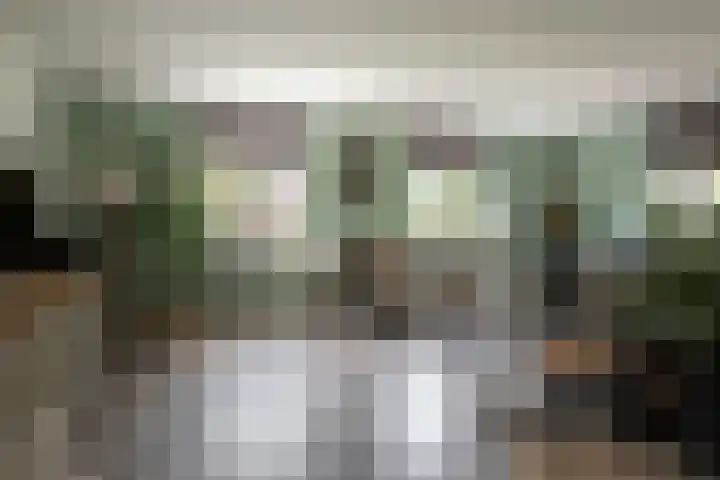 Veldmanserve 35 Hellendoorn thumbnail 6