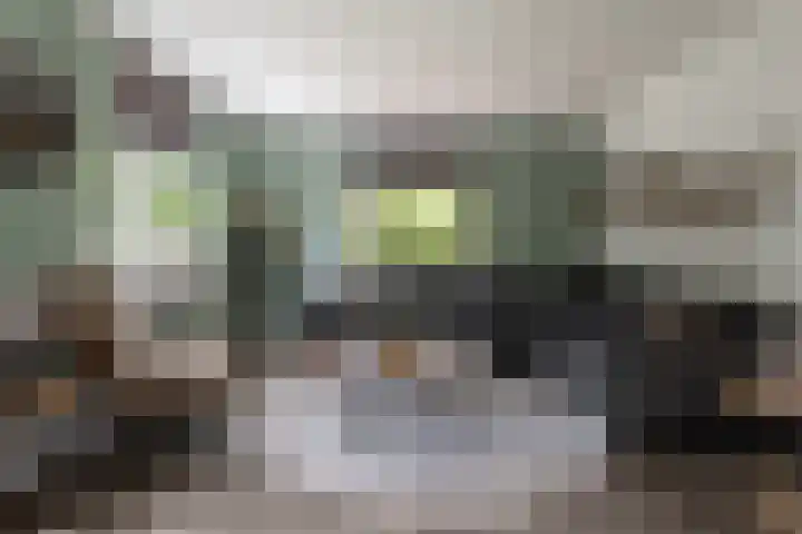 Veldmanserve 35 Hellendoorn thumbnail 7