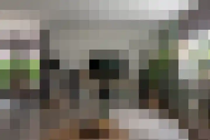 Veldmanserve 35 Hellendoorn thumbnail 8