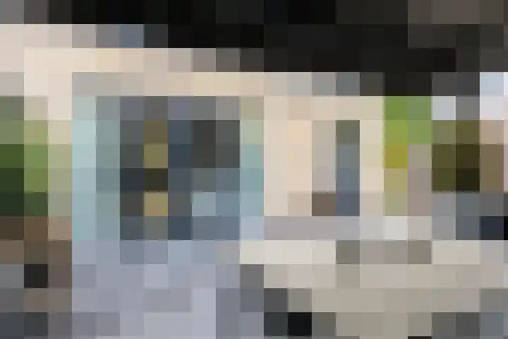 Veldmanserve 46 Hellendoorn thumbnail 24