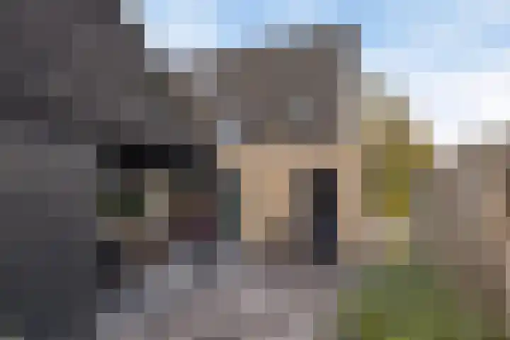Veldmanserve 46 Hellendoorn thumbnail 26