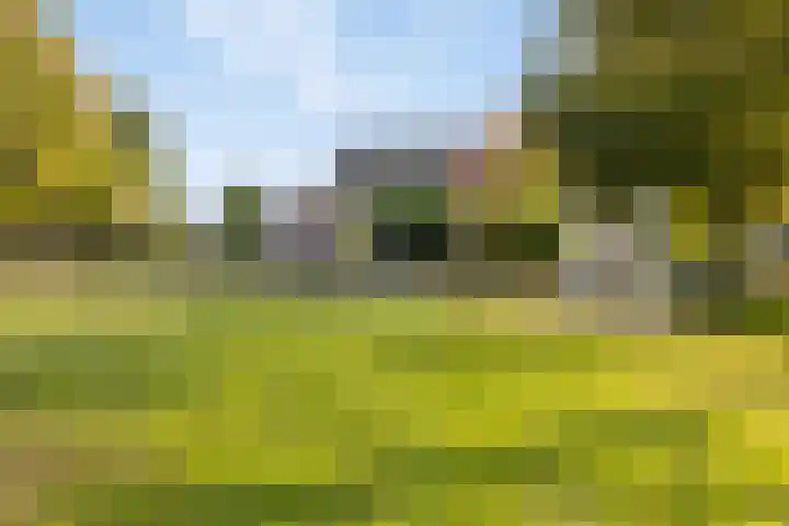 Veldmanserve 46 Hellendoorn thumbnail 29