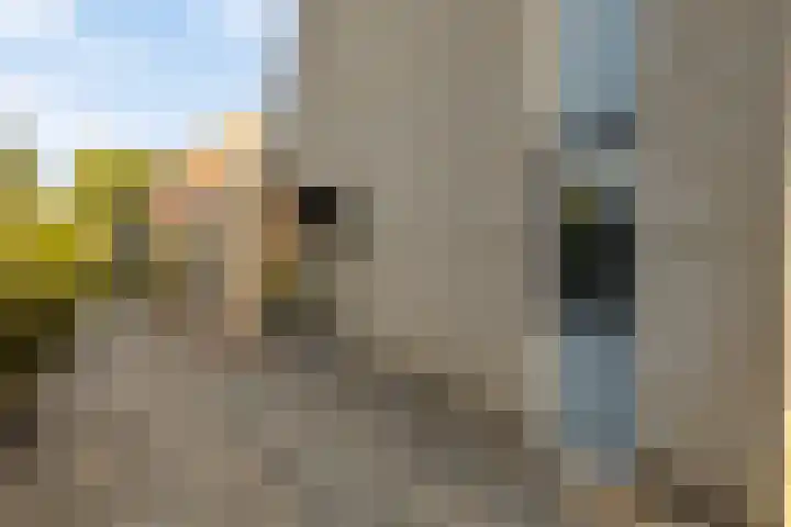 Veldmanserve 46 Hellendoorn thumbnail 4