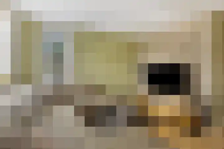 Veldmanserve 46 Hellendoorn thumbnail 5