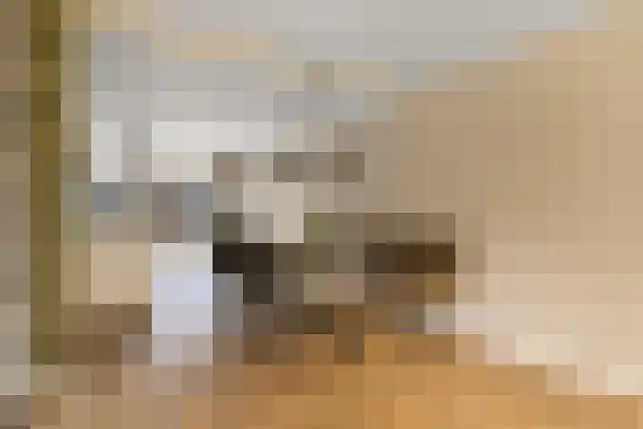 Veldmanserve 46 Hellendoorn thumbnail 7