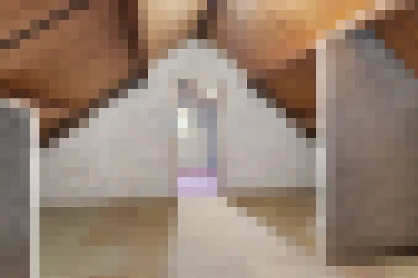 Veldmansweg 36 Noardburgum thumbnail 33