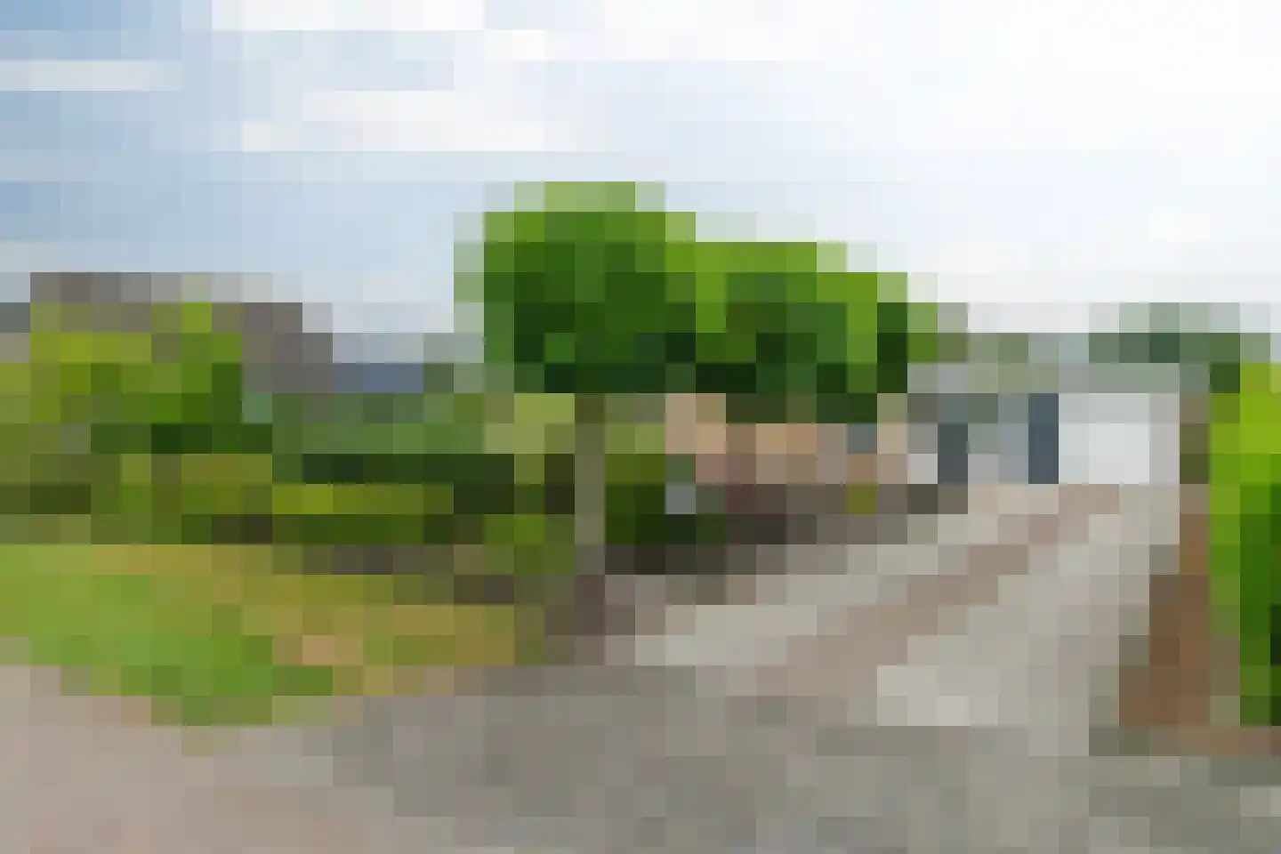 Veldmansweg 36 Noardburgum thumbnail 4