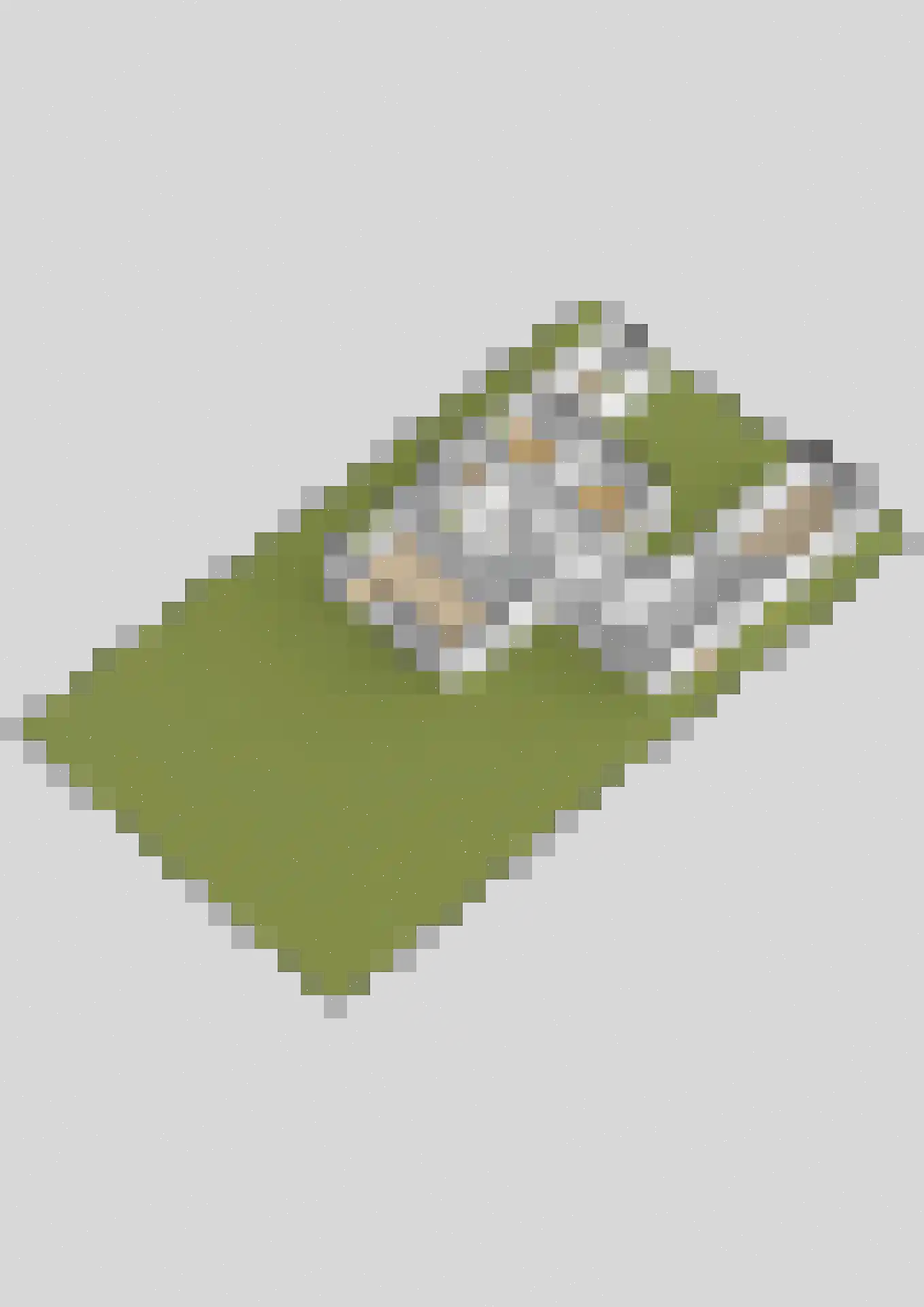 Veldmansweg 36 Noardburgum thumbnail 47