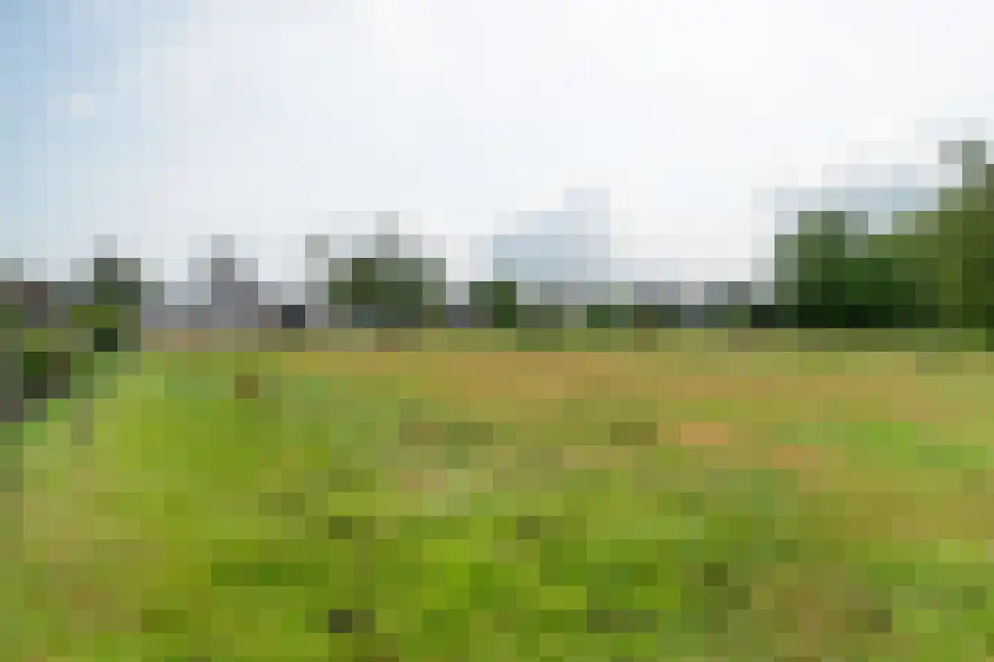 Veldmansweg 36 Noardburgum thumbnail 8