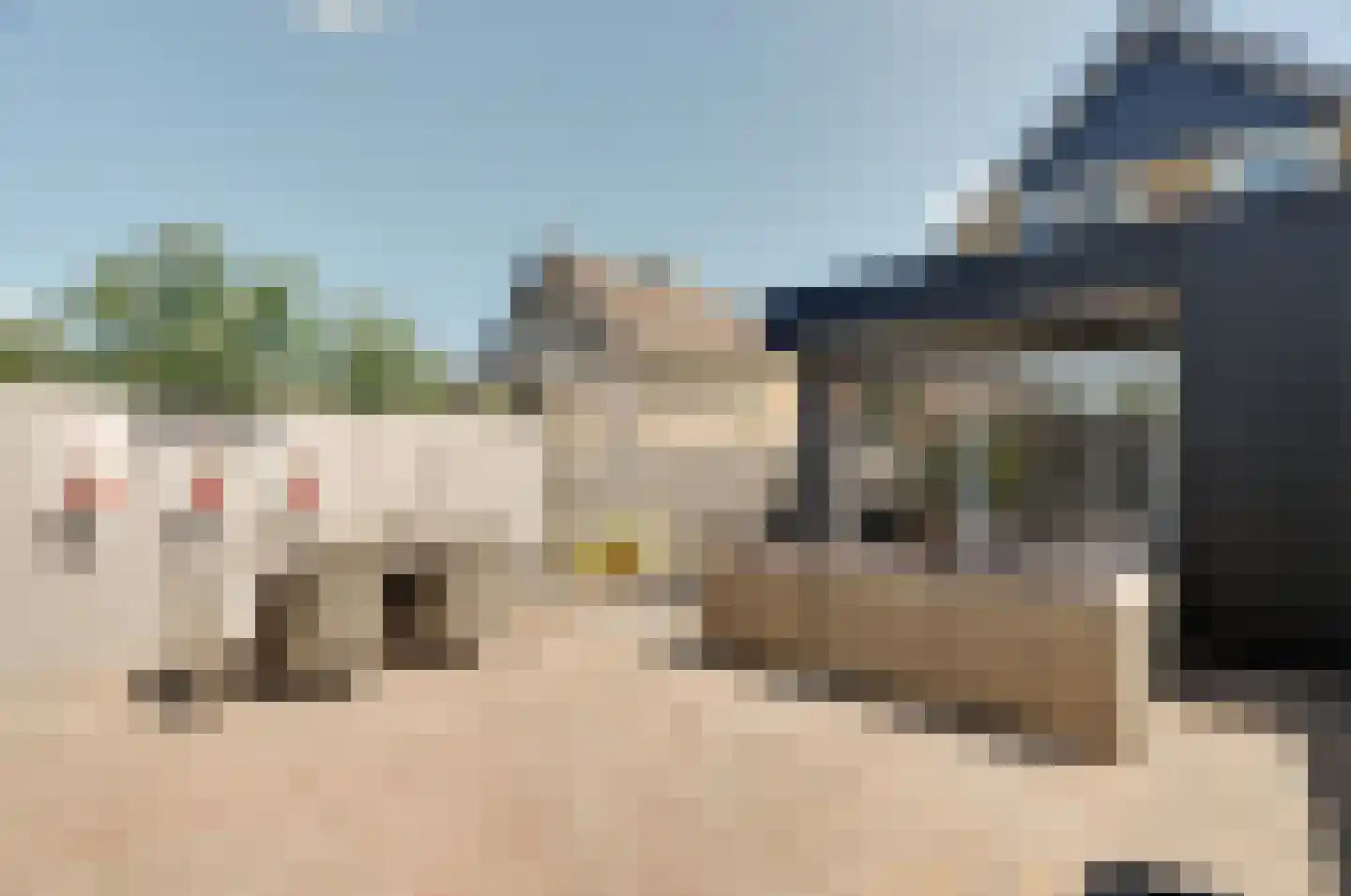 Veldmansweg 9 Noardburgum thumbnail 10