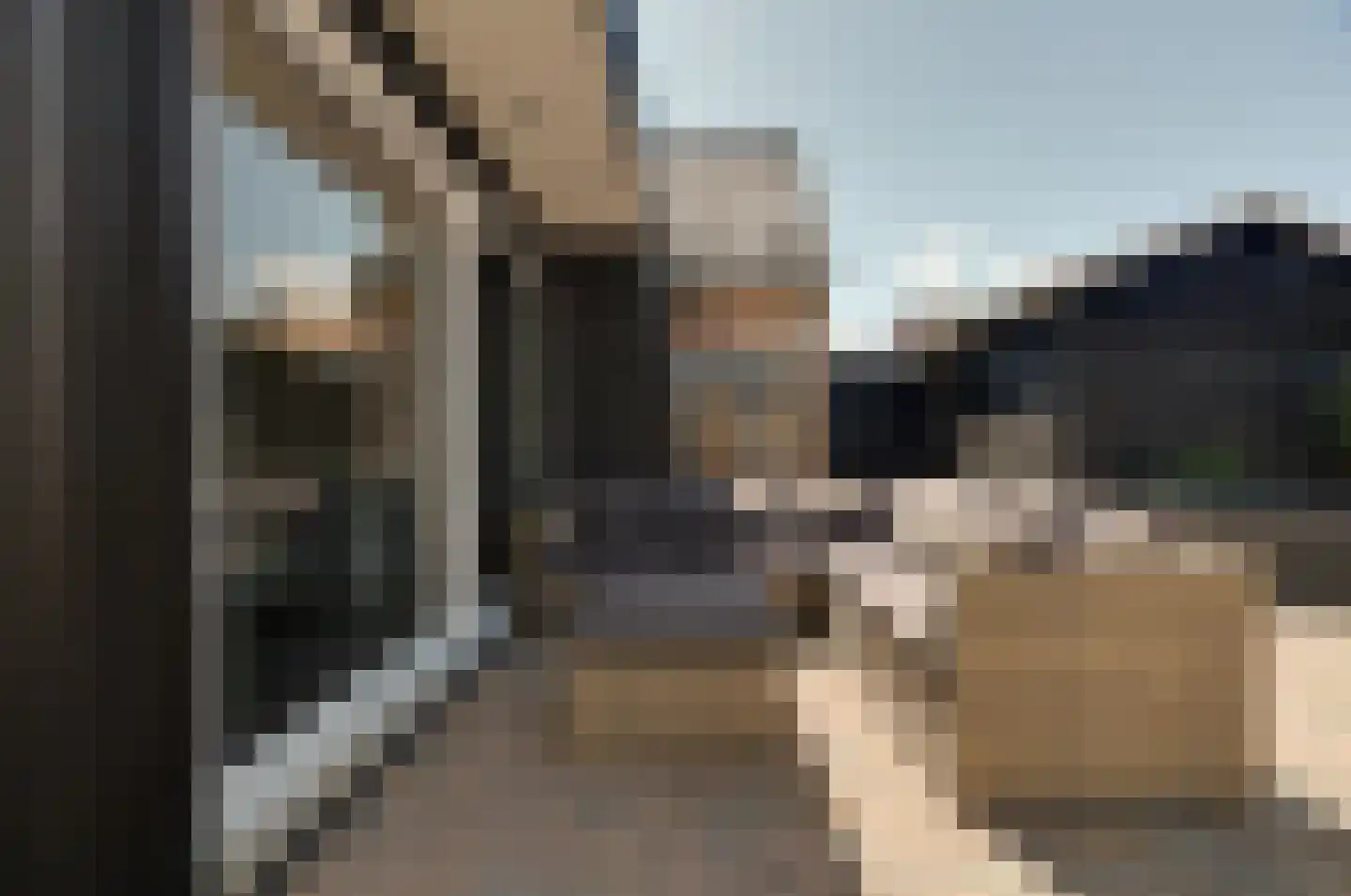 Veldmansweg 9 Noardburgum thumbnail 11