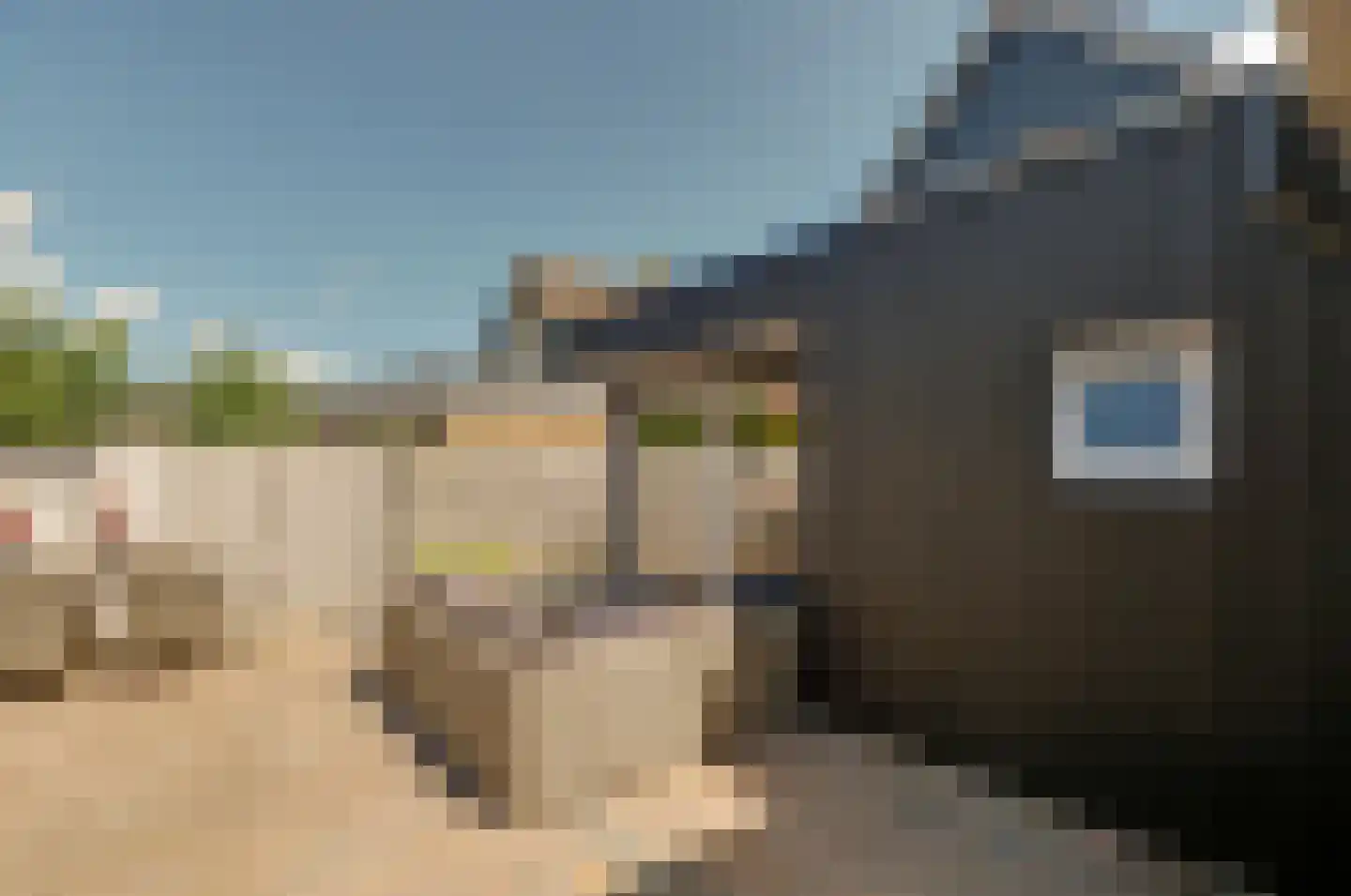 Veldmansweg 9 Noardburgum thumbnail 15