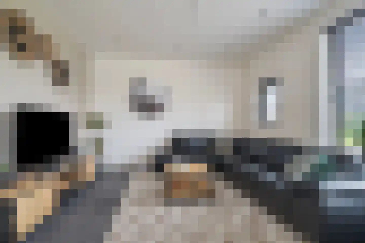 Veldmansweg 9 Noardburgum thumbnail 22