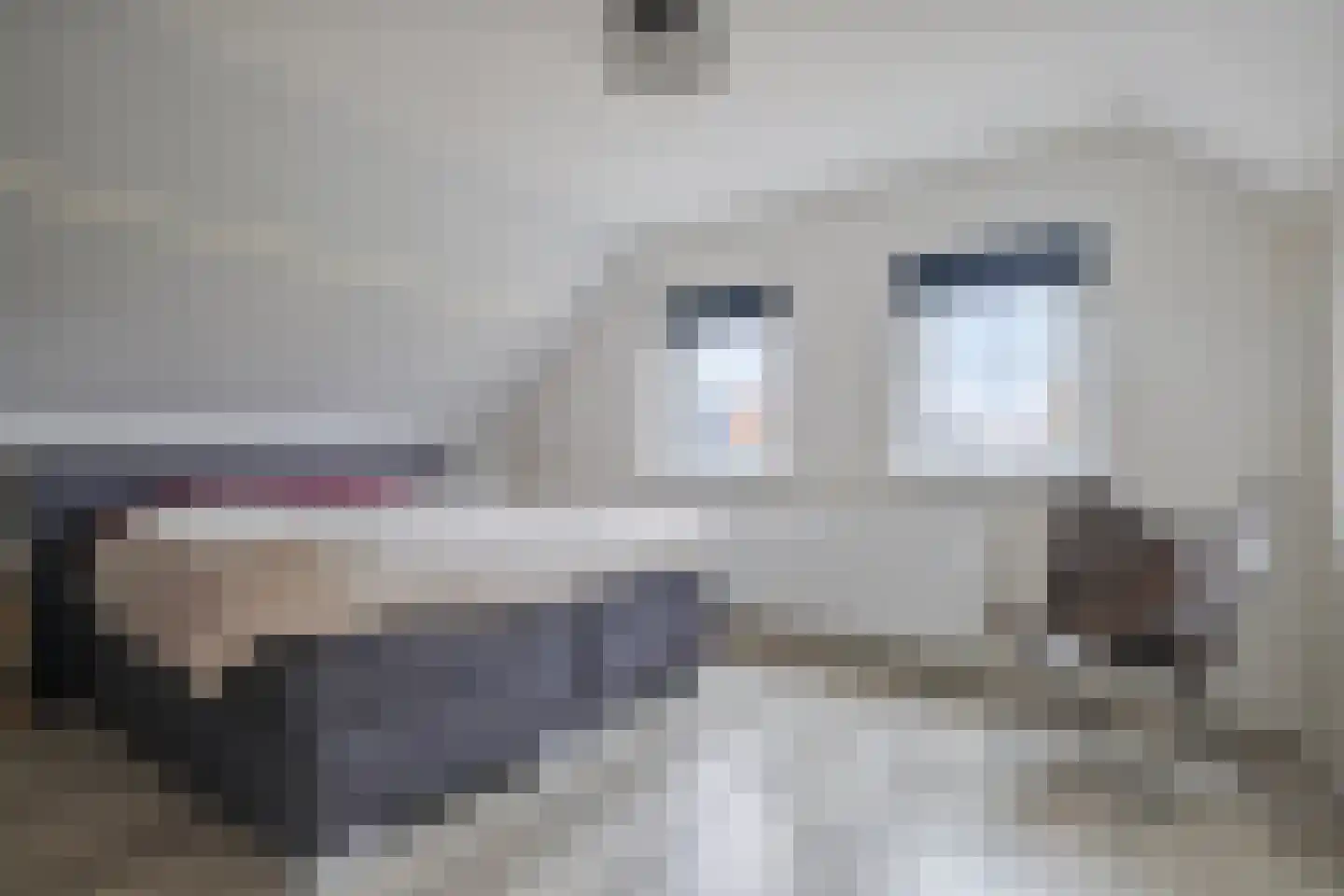 Veldmansweg 9 Noardburgum thumbnail 29