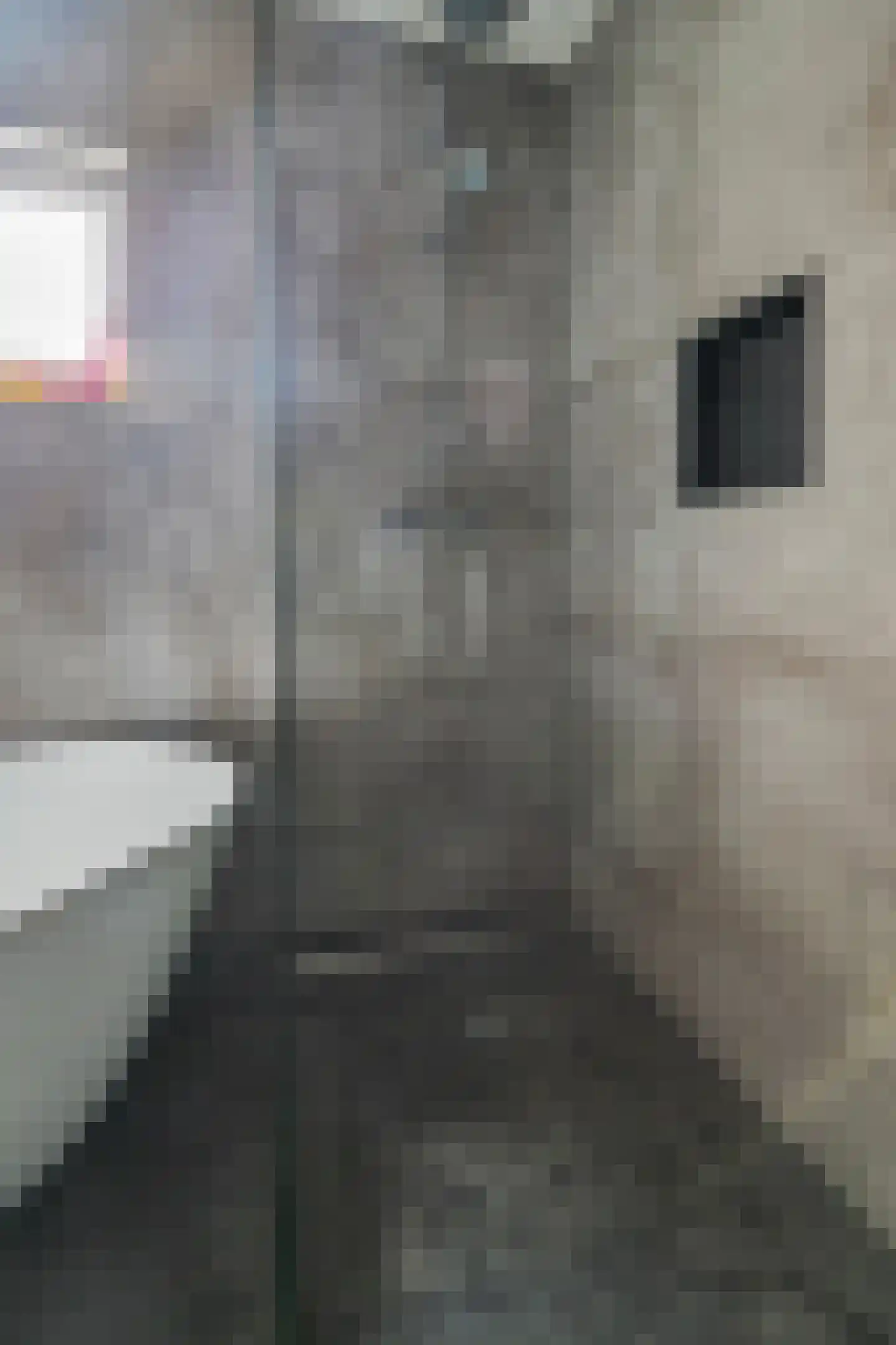 Veldmansweg 9 Noardburgum thumbnail 31