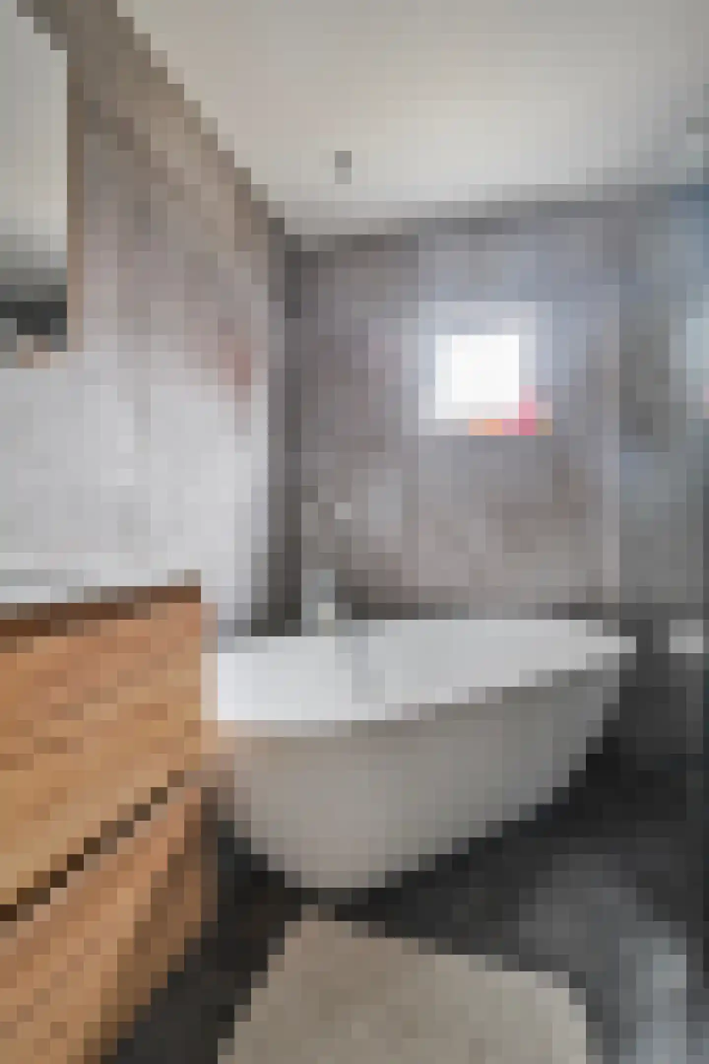 Veldmansweg 9 Noardburgum thumbnail 34