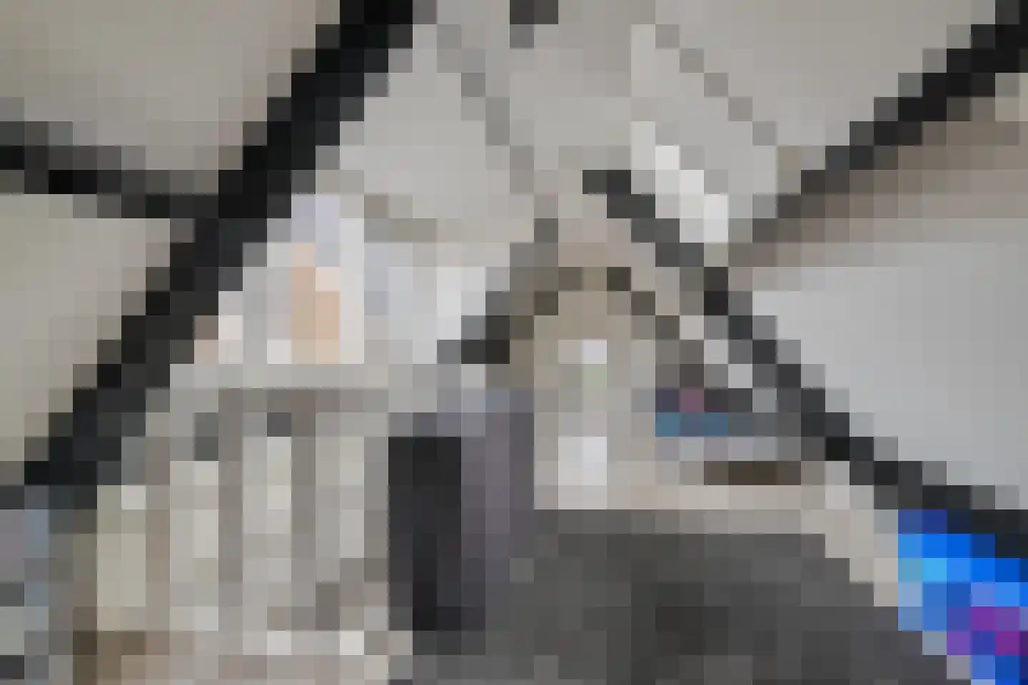 Veldmansweg 9 Noardburgum thumbnail 37