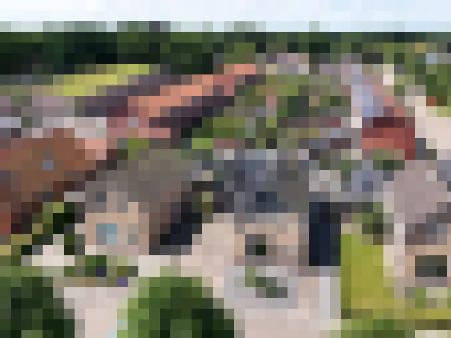 Veldmansweg 9 Noardburgum thumbnail 41