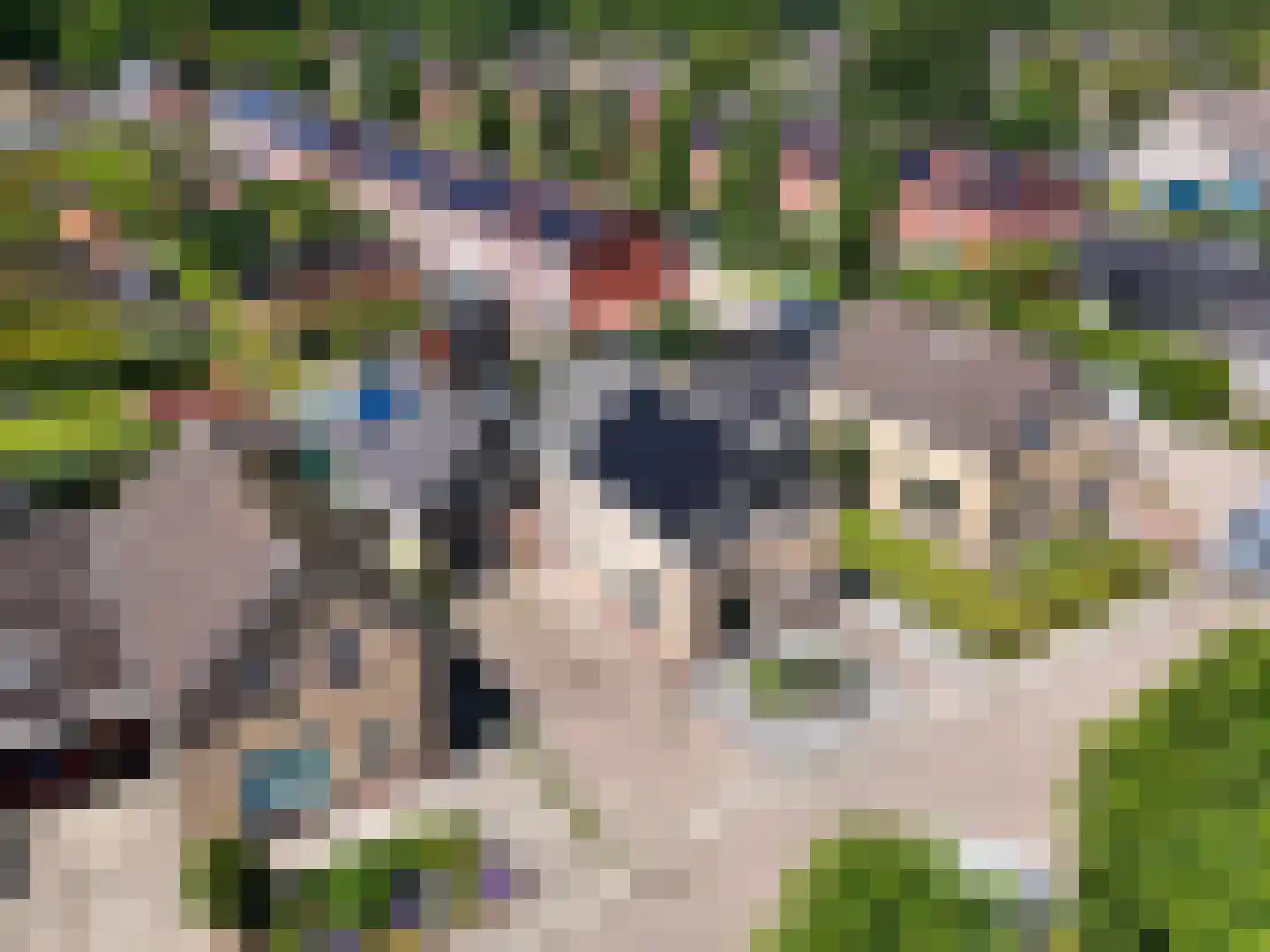 Veldmansweg 9 Noardburgum thumbnail 42