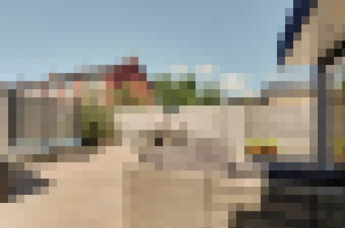 Veldmansweg 9 Noardburgum thumbnail 9