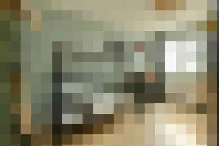 Veldmoeren 39 Breda thumbnail 30