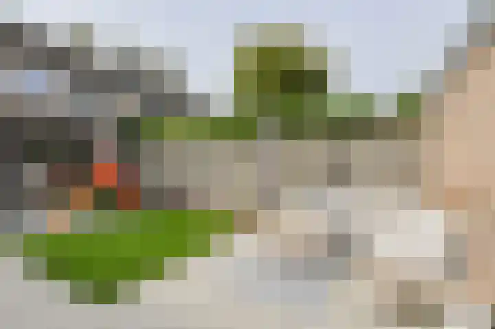 Veldmoeren 39 Breda thumbnail 42