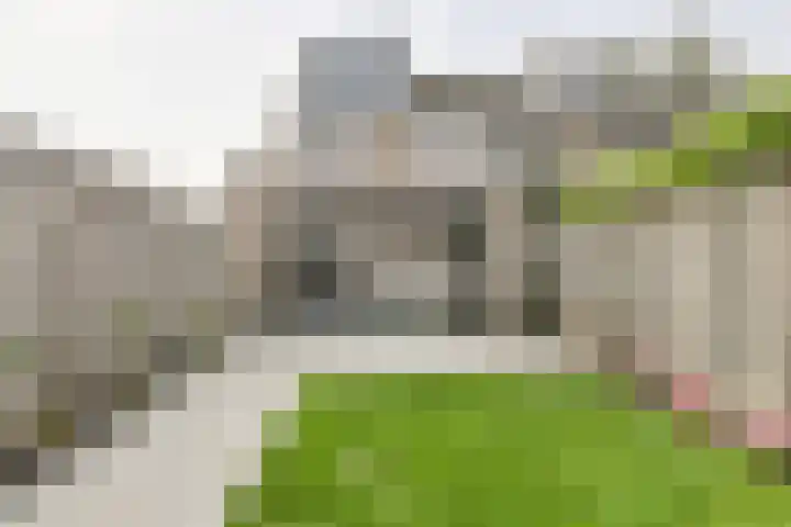 Veldmoeren 39 Breda thumbnail 43