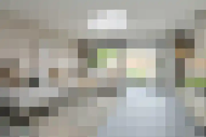 Veldmoeren 39 Breda thumbnail 5