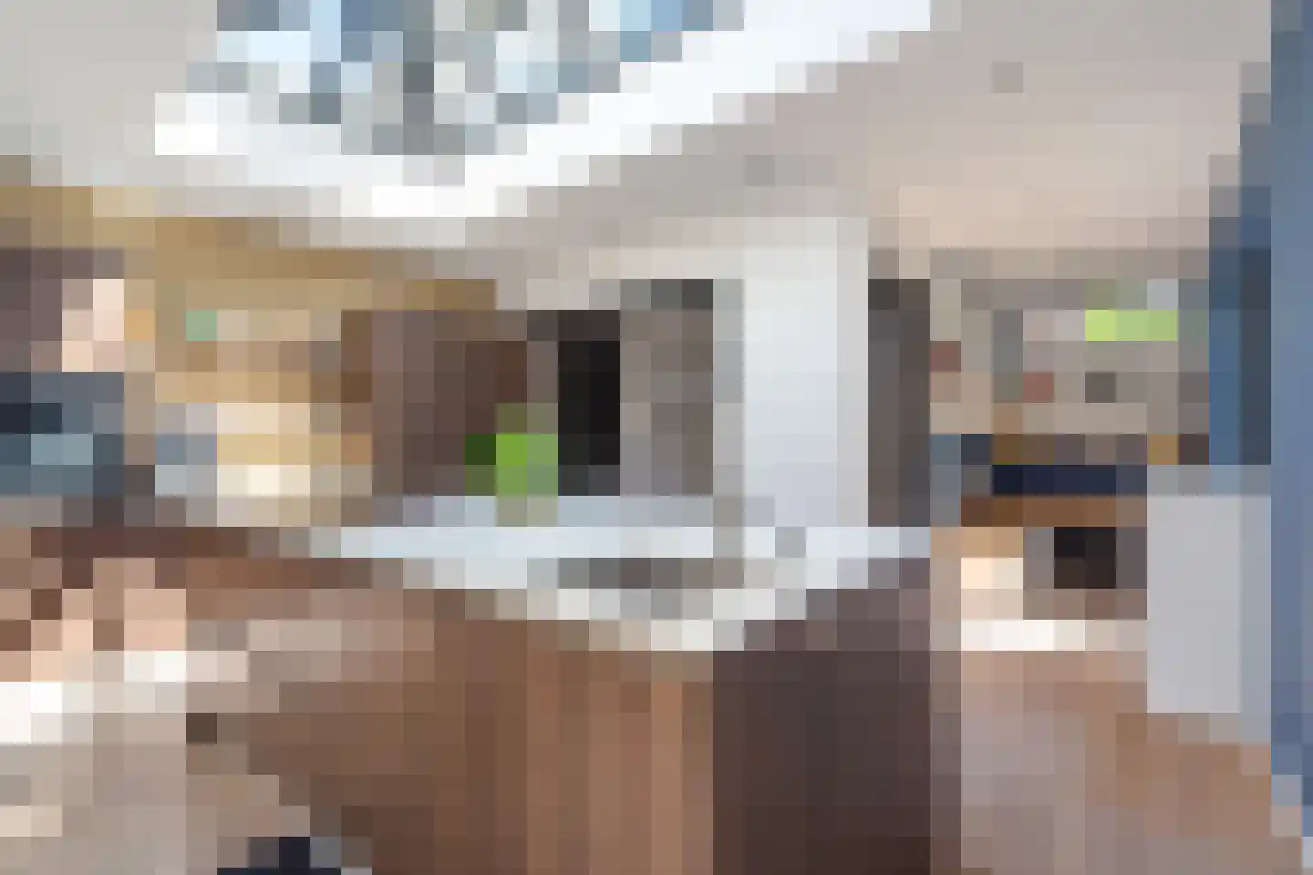 Veldmoeren 42 A Breda thumbnail 26