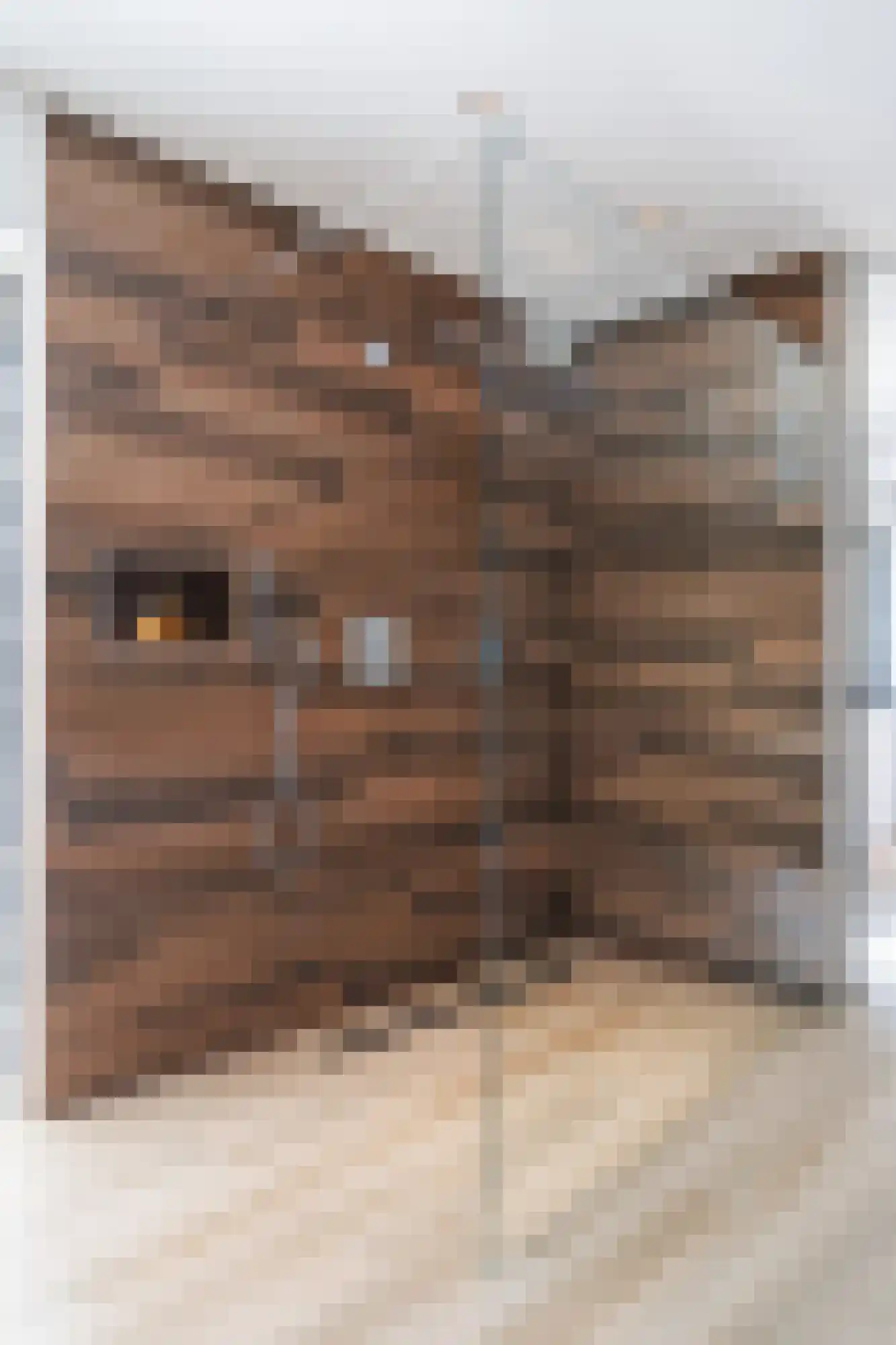 Veldmoeren 42 A Breda thumbnail 32