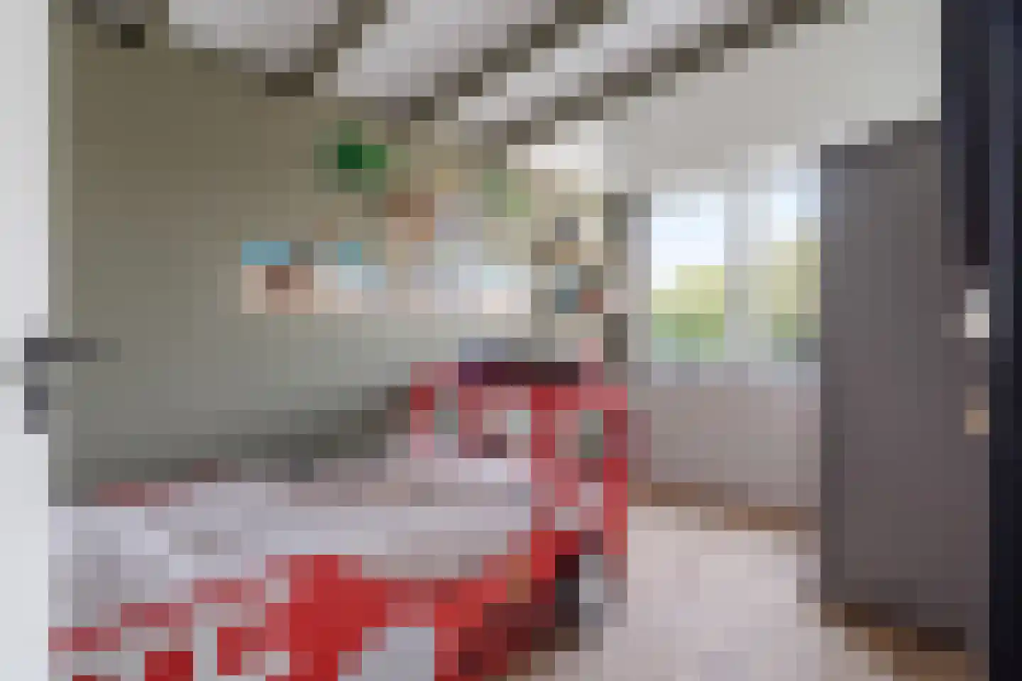 Veldmoeren 42 A Breda thumbnail 44