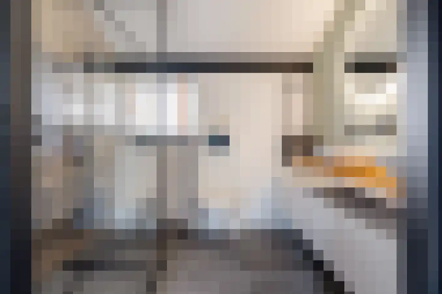 Veldmoeren 42 A Breda thumbnail 47