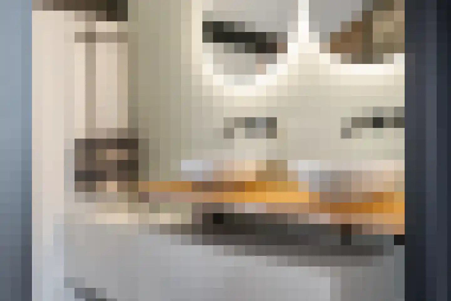 Veldmoeren 42 A Breda thumbnail 48
