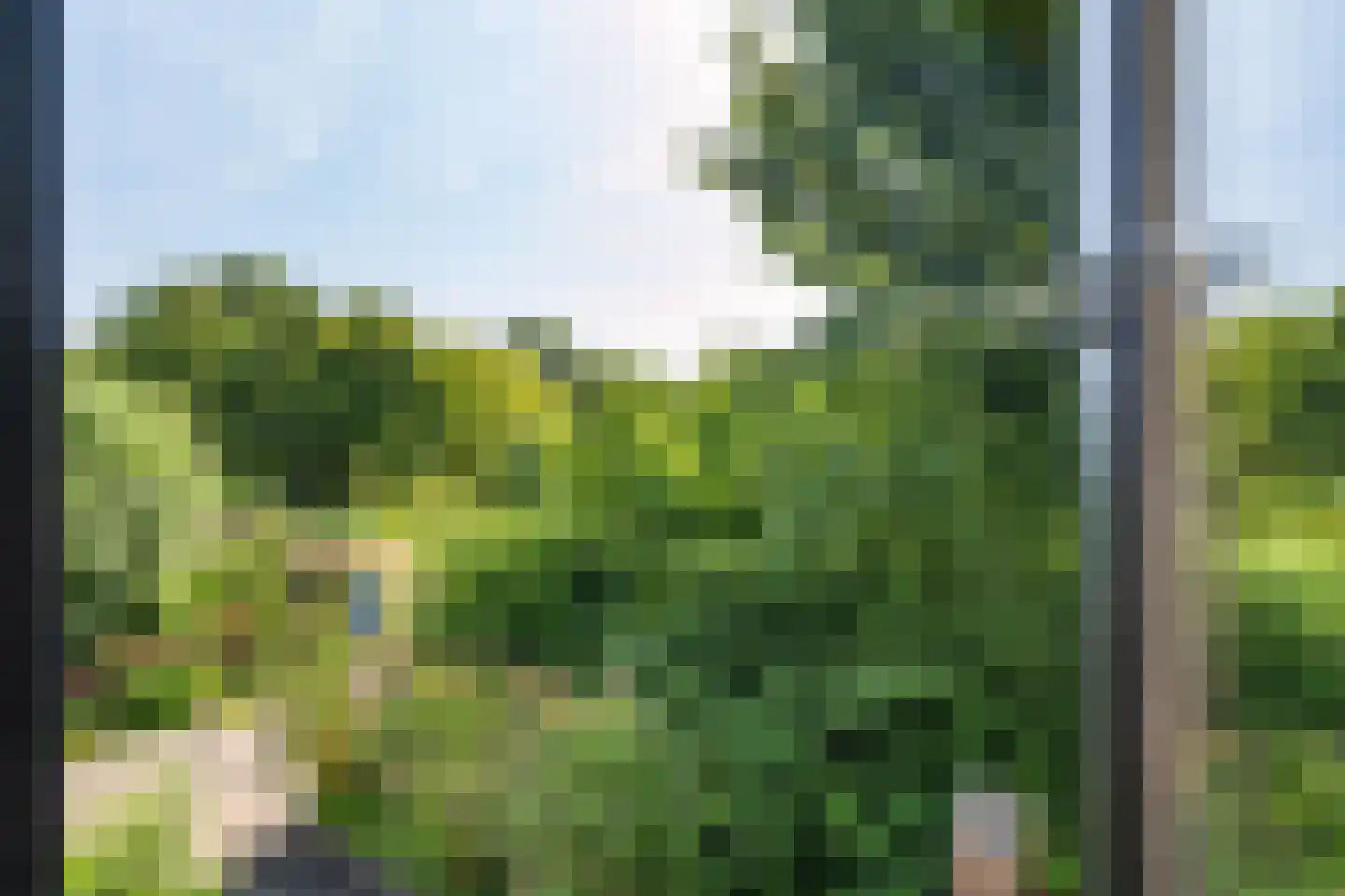 Veldmoeren 42 A Breda thumbnail 66