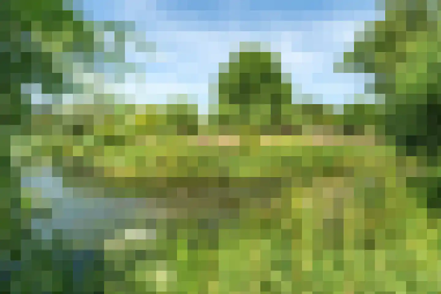 Veldmoeren 42 A Breda thumbnail 69