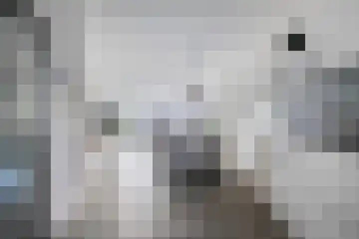 Veldmoeren 6 Breda thumbnail 10