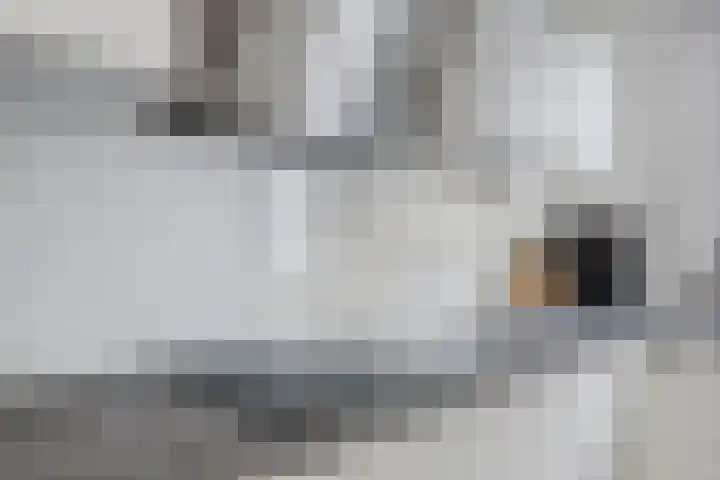 Veldmoeren 6 Breda thumbnail 12