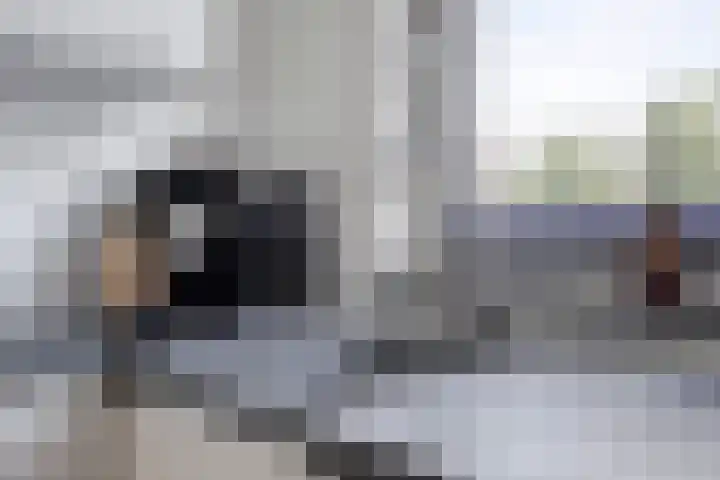 Veldmoeren 6 Breda thumbnail 13