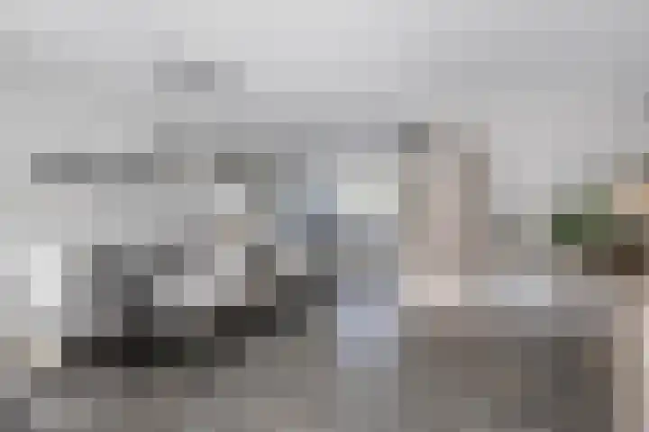 Veldmoeren 6 Breda thumbnail 14