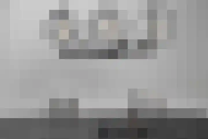 Veldmoeren 6 Breda thumbnail 15