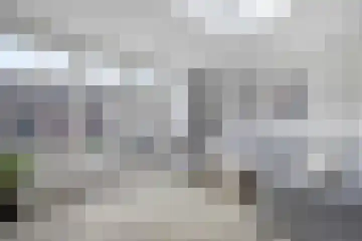 Veldmoeren 6 Breda thumbnail 16