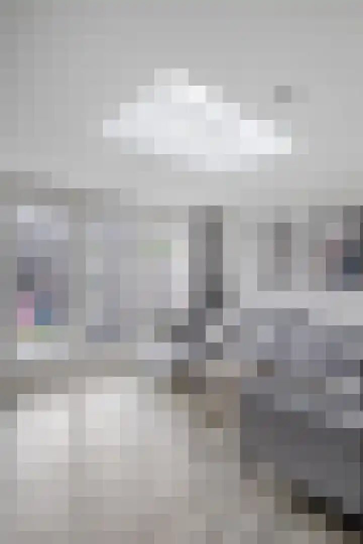 Veldmoeren 6 Breda thumbnail 20